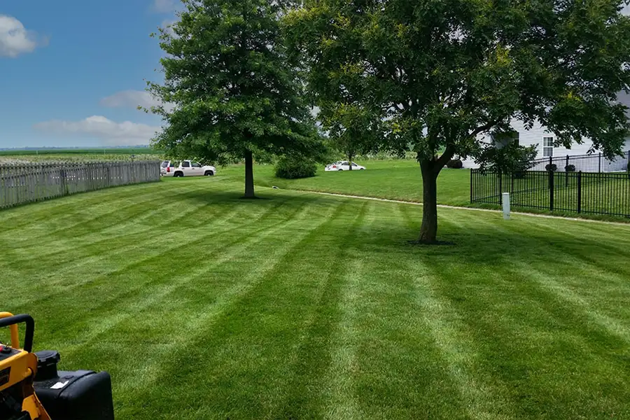 Deep Roots - well maintained lawn in Chatham, IL