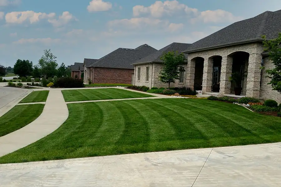 Deep Roots - well maintained lawn in Chatham, IL